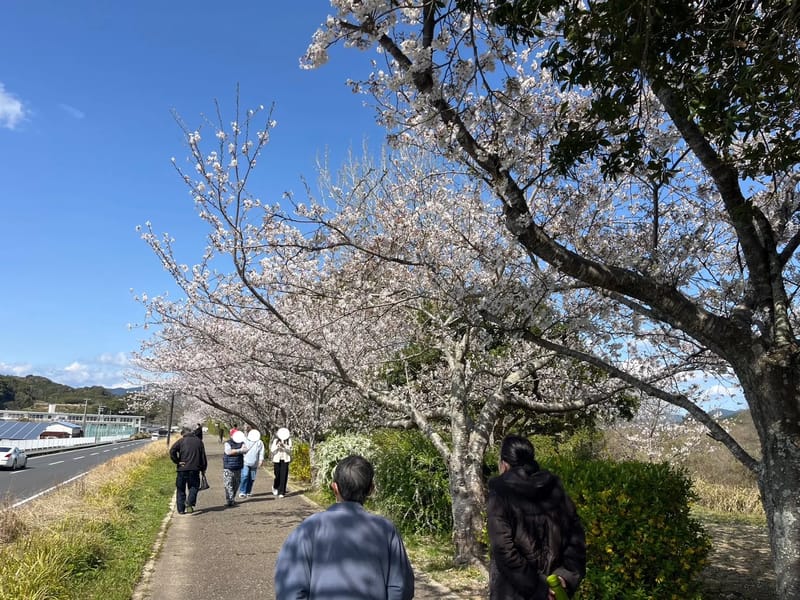 きらり - 有料老人ホーム in 和歌山市, 和歌山県 photo 2