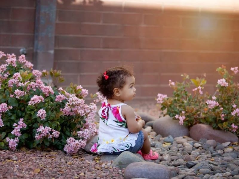 Bridges Health Services, Inc - Hospice in Phoenix, AZ photo 3