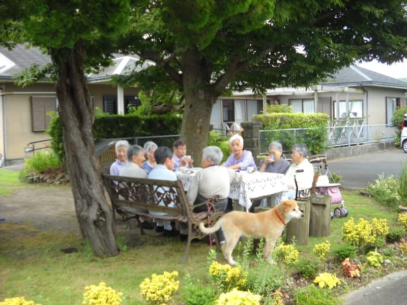 グループホーム けやきの里 - 認知症ケア in 新居浜市, 愛媛県 photo 1