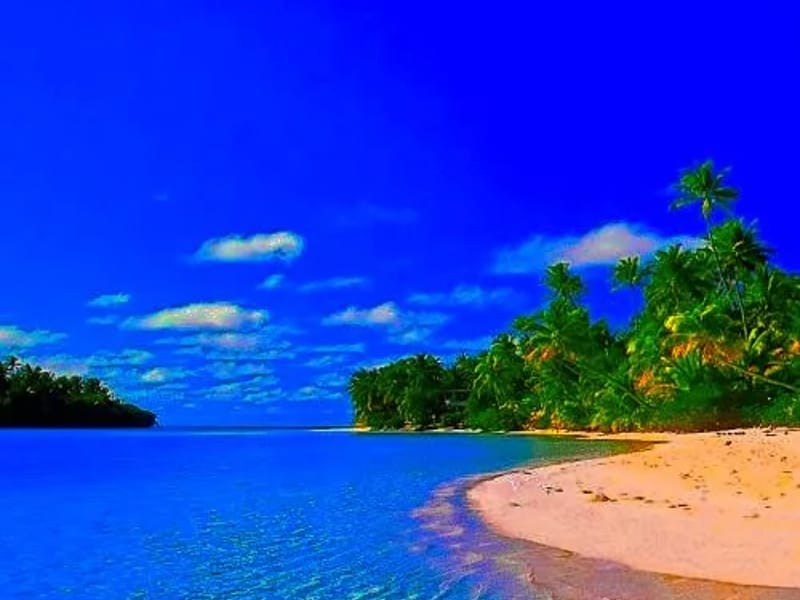 A Tropical Paradise Alf - Assisted Living in St Petersburg, FL photo 1