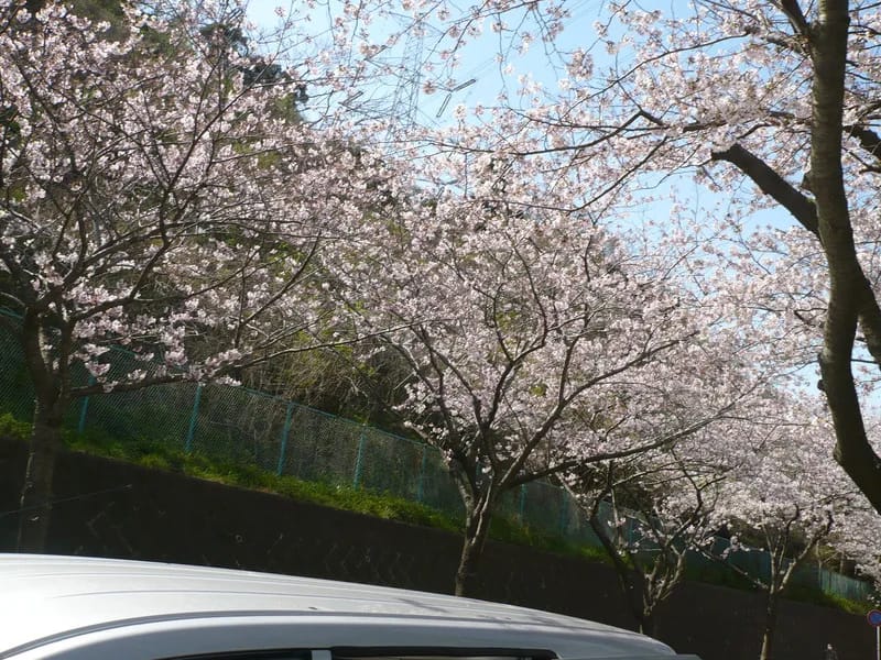 あずみ苑津久井浜 - 有料老人ホーム in 横須賀市, 神奈川県 photo 3