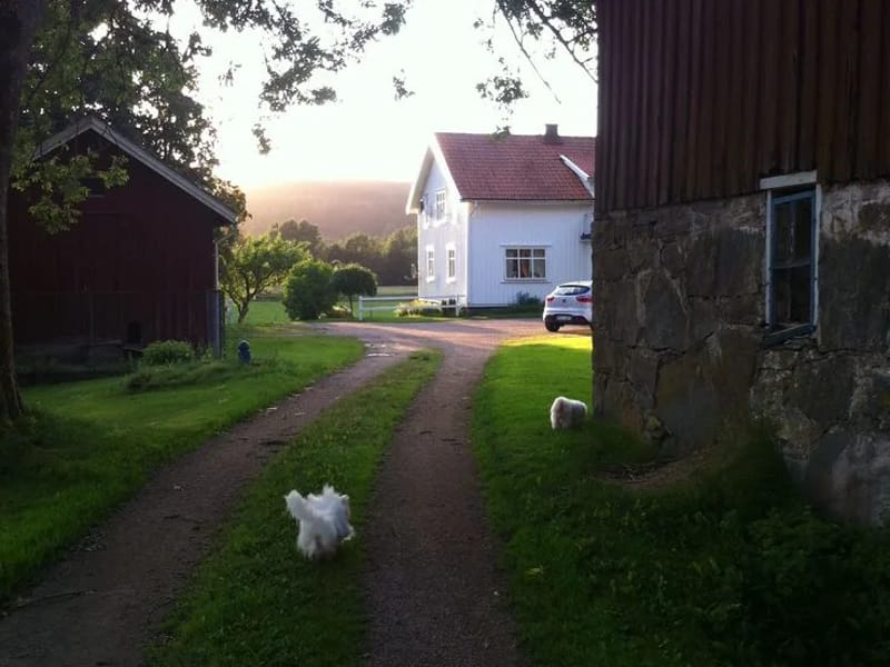 Bollegården - Serviceboende in Bollebygd, Västra Götalands län photo 3