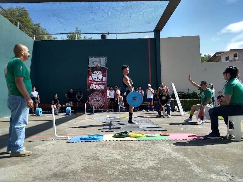 INSTITUCION DE ASISTENCIA PRIVADA - Vida Asistida in Tlalpan, Ciudad de México photo 7