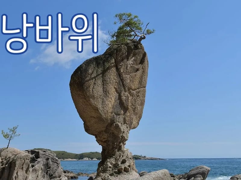 고성시니어스 - 요양병원 in 고성군, 경상남도 photo 3