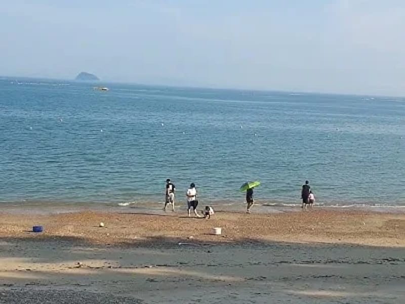 금산조아 복지센터 - 주간보호 in 고흥군, 전라남도 photo 5