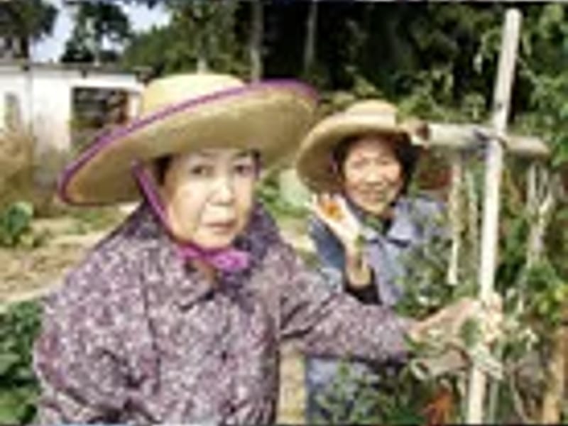 ウエルネスかねの - 有料老人ホーム in 小松市, 石川県 photo 2