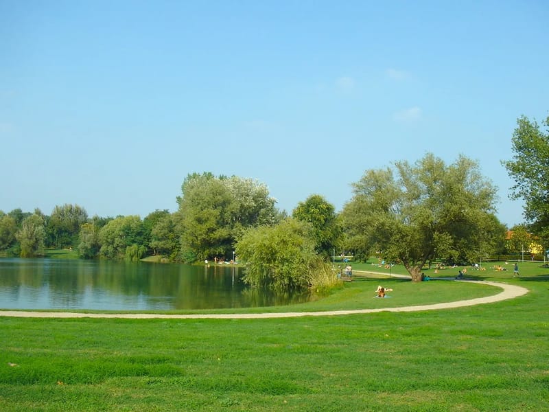 R.S.A.  Parco Delle Cave - Casa di Riposo in Milano, Lombardia photo 1