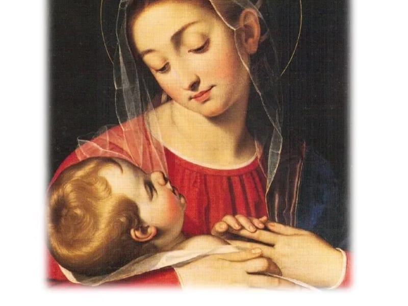 Istit. Riab. Madre Della Divina Provvid. - Riabilitazione Ospedaliera in Arezzo, Toscana photo 3