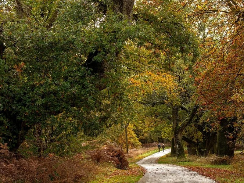 Oak Trees (Respite) - Inpatient Rehabilitation in Attleborough, England photo 2