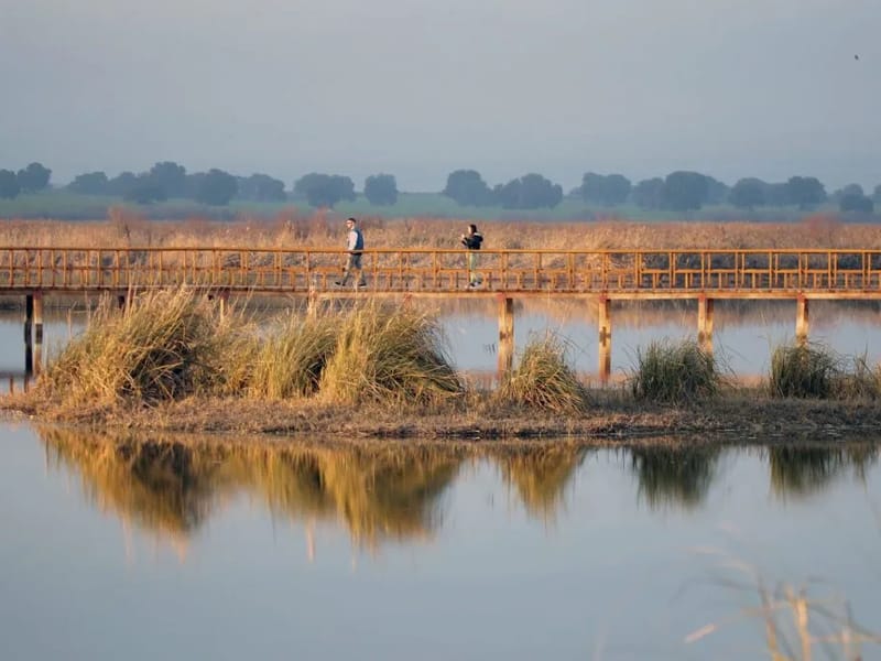 RESIDENCIA MAYORES LA MASIEGA - Hogar de Ancianos in Daimiel, Castilla-La Mancha photo 2