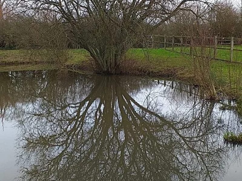 Lucketts Farm - Assisted Living in Canterbury, England photo 4