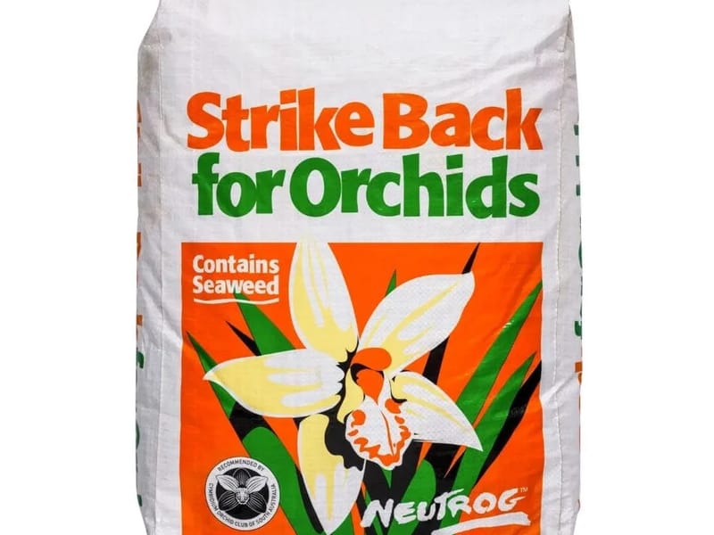 Orchid Care in Enfield, England photo 1