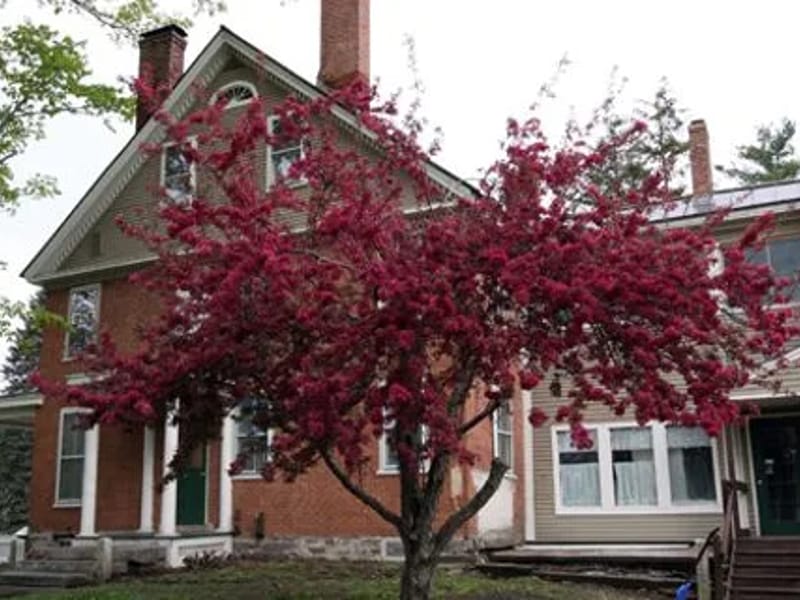 Ascutney House - Assisted Living in Ascutney, VT photo 1