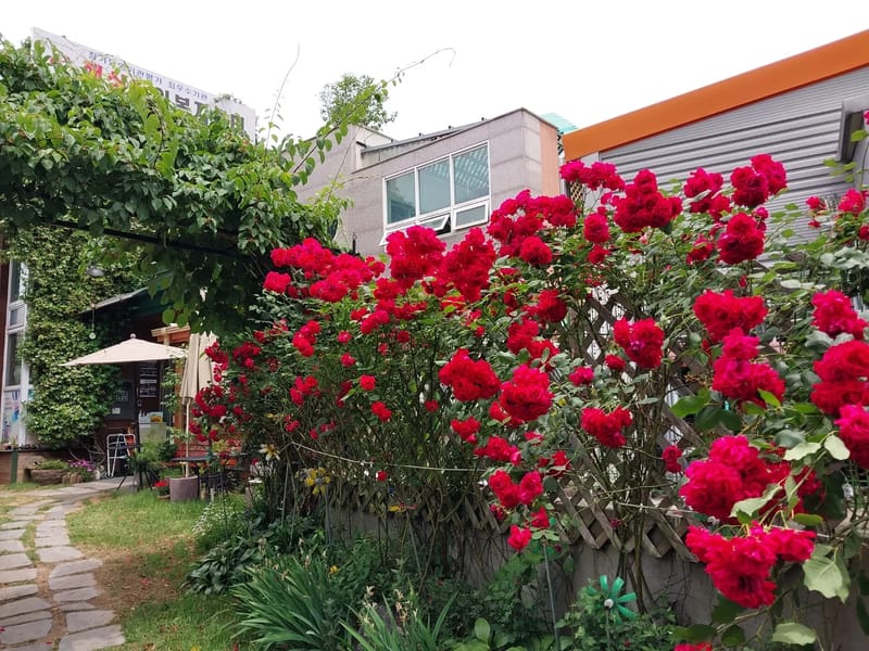 e-편한요양센터 in 북구, 대구광역시 photo 1