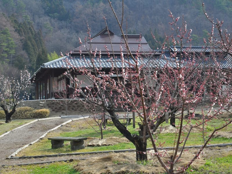 あんずの里 - 特別養護老人ホーム in 岐阜市, 岐阜県 photo 2