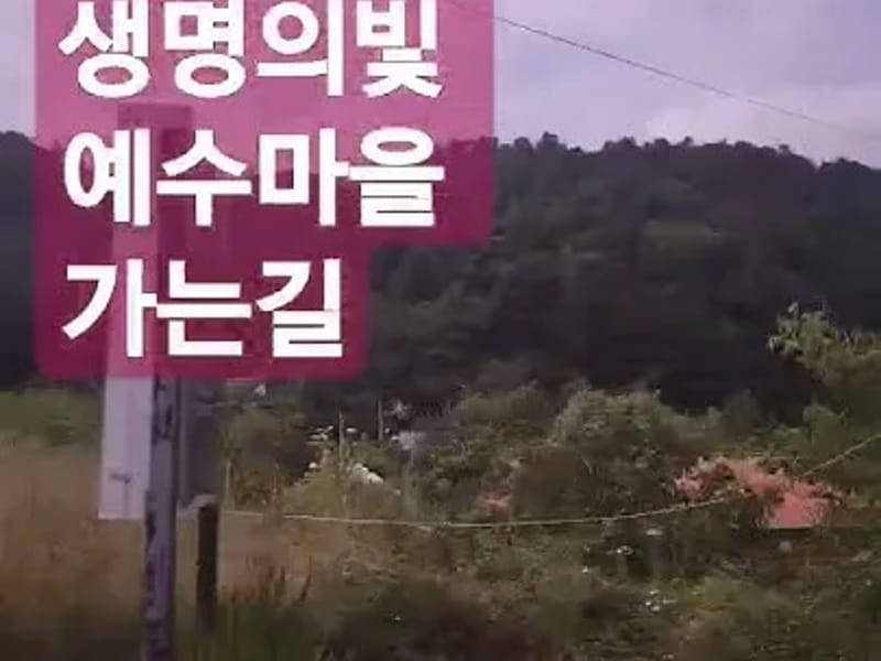 생명의빛주간보호센터 - 주간보호 in 가평군, 경기도 photo 3