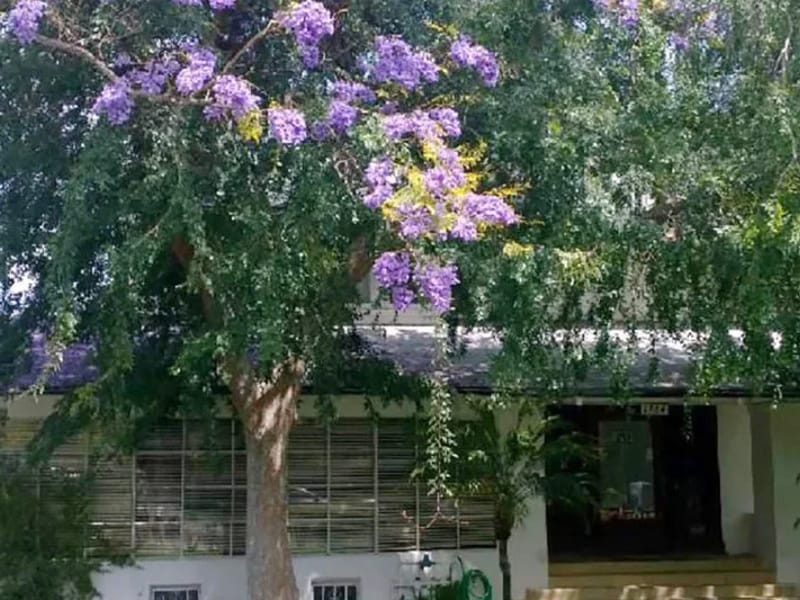 Jacaranda House Hostel - Assisted Living in Bairnsdale, VIC photo 2