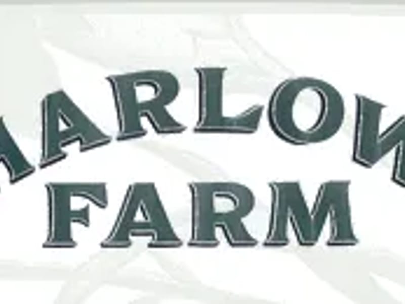 Sumners Farm Close in Harlow, England photo 2