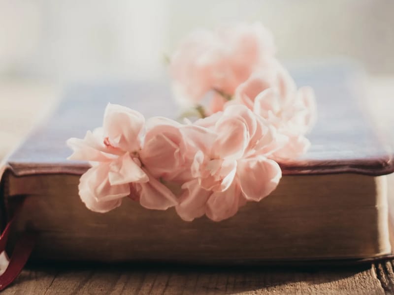 Höga kusten hemtjänst - Hemtjänst in Kramfors, Västernorrlands län photo 2