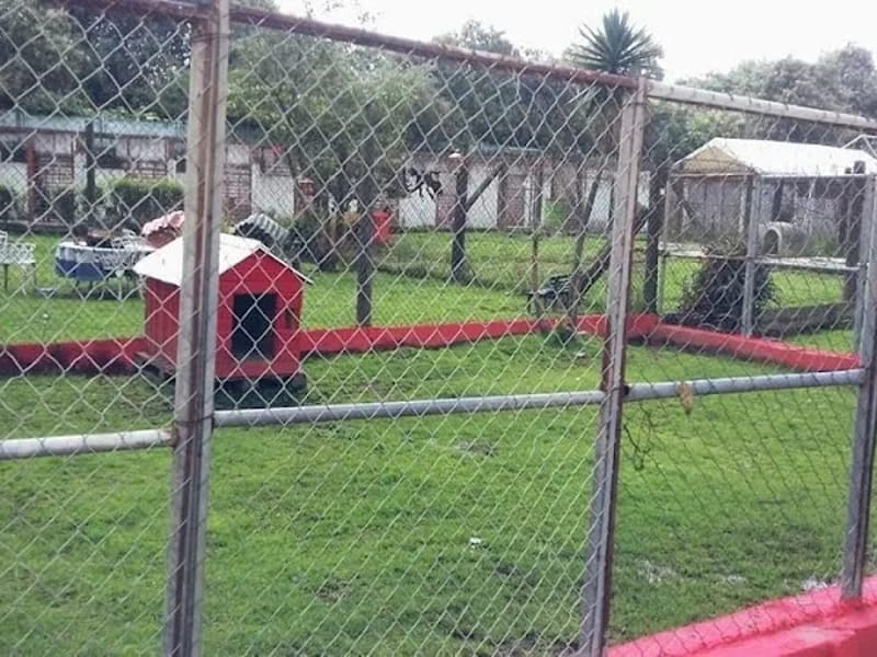ASILO PARA MASCOTAS ASOCIACION HUMANITARIA MEXICANA - Hogar de Ancianos in Cuajimalpa De Morelos, Ciudad de México photo 4