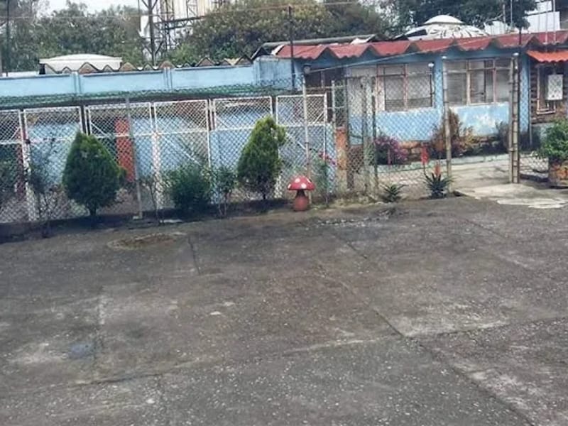 ASILO PARA MASCOTAS ASOCIACION HUMANITARIA MEXICANA - Hogar de Ancianos in Cuajimalpa De Morelos, Ciudad de México photo 7