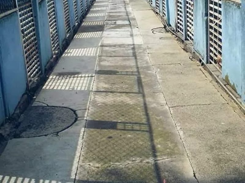 ASILO PARA MASCOTAS ASOCIACION HUMANITARIA MEXICANA - Hogar de Ancianos in Cuajimalpa De Morelos, Ciudad de México photo 2