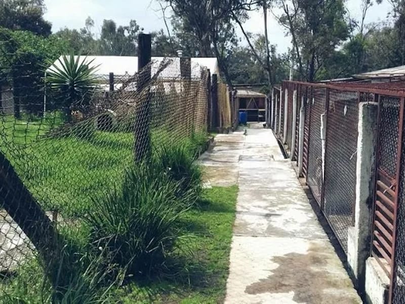 ASILO PARA MASCOTAS ASOCIACION HUMANITARIA MEXICANA - Hogar de Ancianos in Cuajimalpa De Morelos, Ciudad de México photo 1