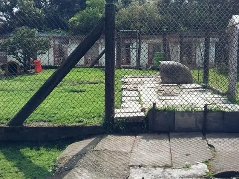 ASILO PARA MASCOTAS ASOCIACION HUMANITARIA MEXICANA - Hogar de Ancianos in Cuajimalpa De Morelos, Ciudad de México photo 5