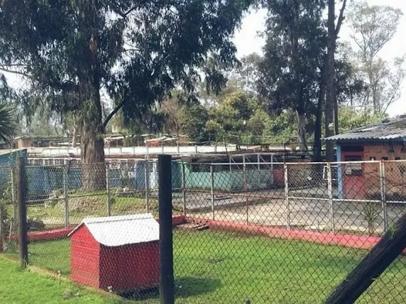 ASILO PARA MASCOTAS ASOCIACION HUMANITARIA MEXICANA - Hogar de Ancianos in Cuajimalpa De Morelos, Ciudad de México photo 3