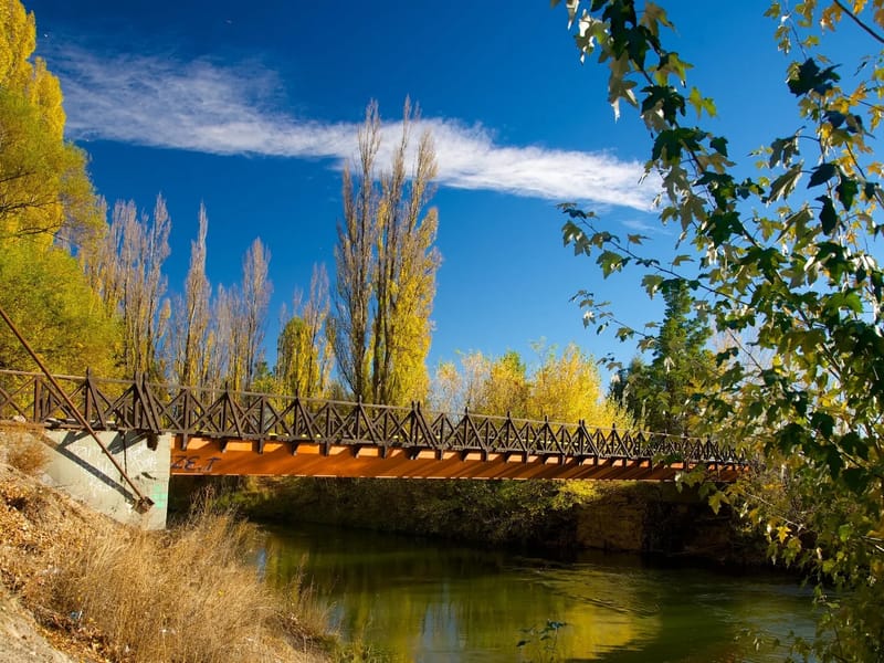 DULCE COMPAÑIA - Vida Asistida in PUERTO MADRYN, CHUBUT photo 2