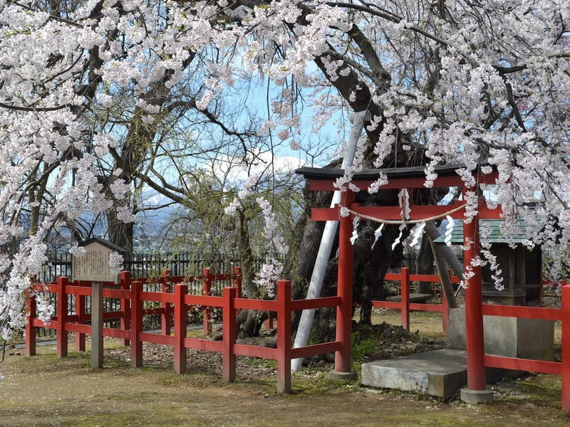 うめむら - 有料老人ホーム in 弘前市, 青森県 photo 3