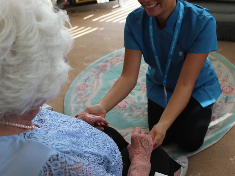 Bluebell Homecare - In-Home Care in Wickford, England photo 3