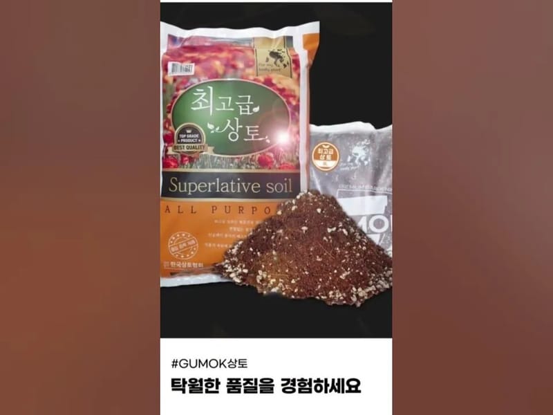 거목실버홈 in 강북구, 서울특별시 photo 2