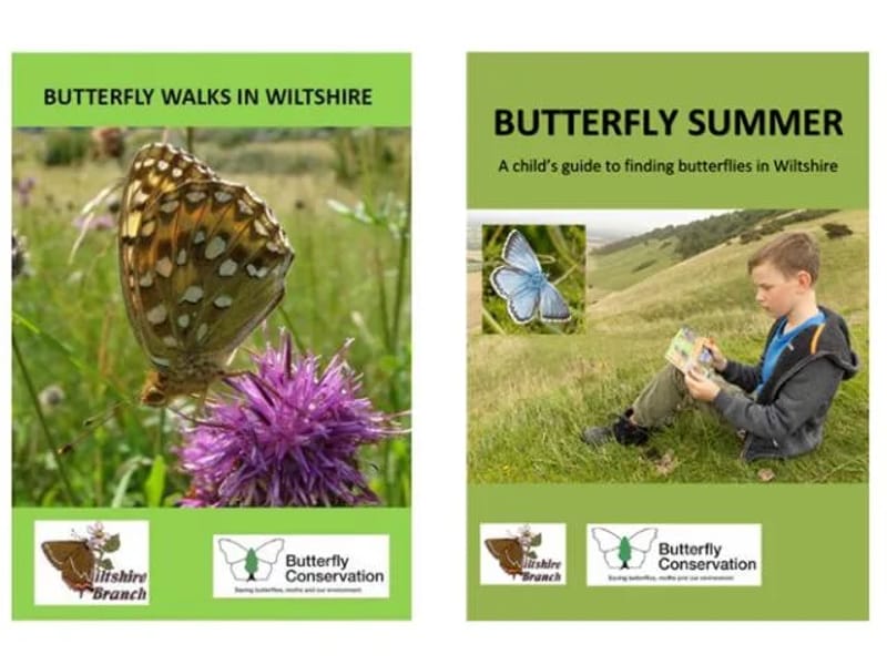 Butterfly Care (Bath, Wiltshire and Somerset) - In-Home Care in Westbury, England photo 2