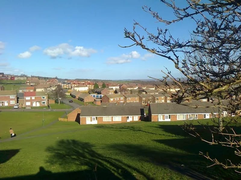 The Care and Support Group County Durham - In-Home Care in Stanley, England photo 2