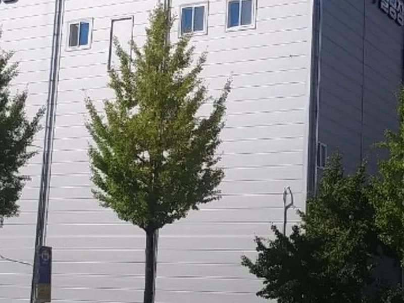 금쪽같은 내부모님 데이케어 - 방문요양 in 전주시, 전북특별자치도 photo 2