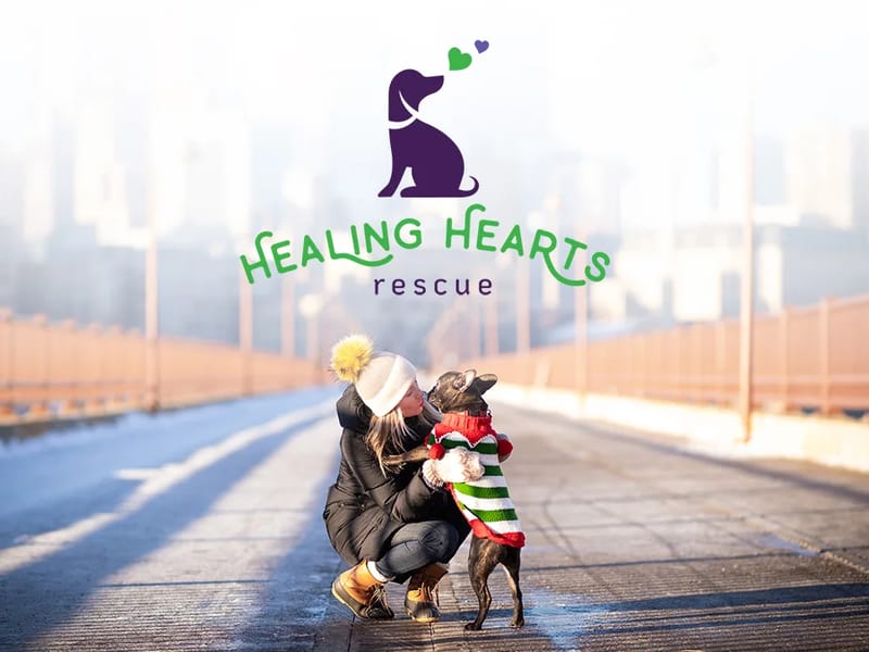 A & N Healing Hearts, INC - Home Health Nursing in Chicago, IL photo 1