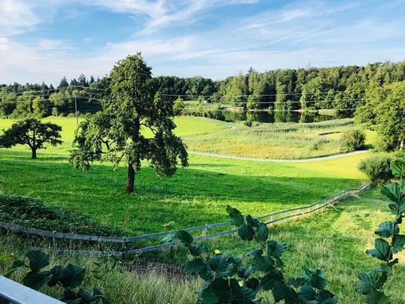 Tödiheim - Pflegeheim in Horgen, Zurich photo 3
