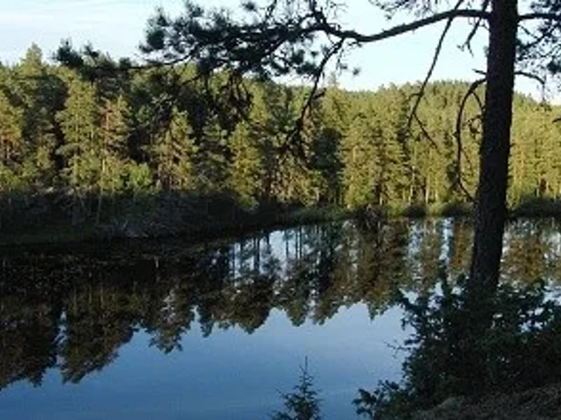 Karlstorp - Serviceboende in Trollhättan, Västra Götalands län photo 1