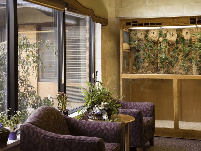 Rolling Hills Health Center - Nursing Home in Topeka, KS photo 2