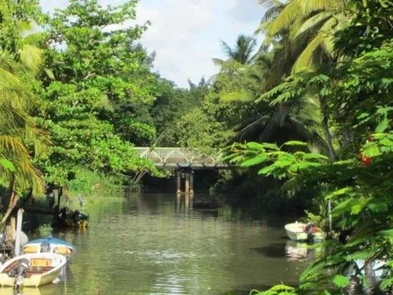 Atoumo - Soins Infirmiers à Domicile in MORNE A L EAU, Guadeloupe photo 2