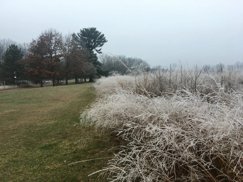 Pound Afh 2 - Assisted Living in Pound, WI photo 3