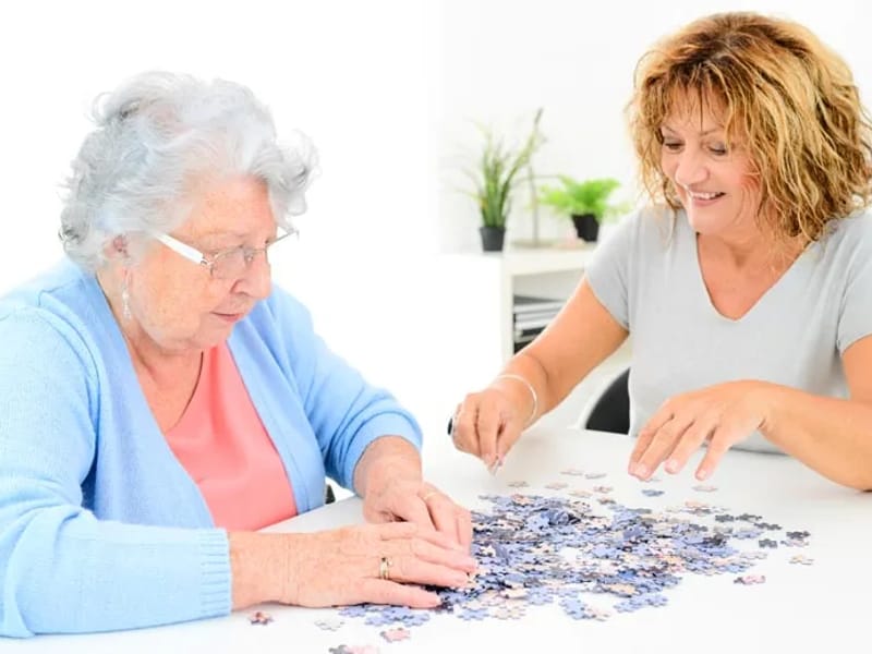 Comfort Companions - Home Health Nursing in Pendleton, SC photo 3
