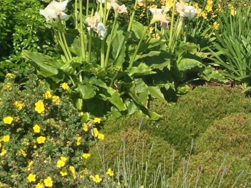 Nazareth House Nursing Home Sligo - Nursing Home in Sligo Town, Sligo photo 2