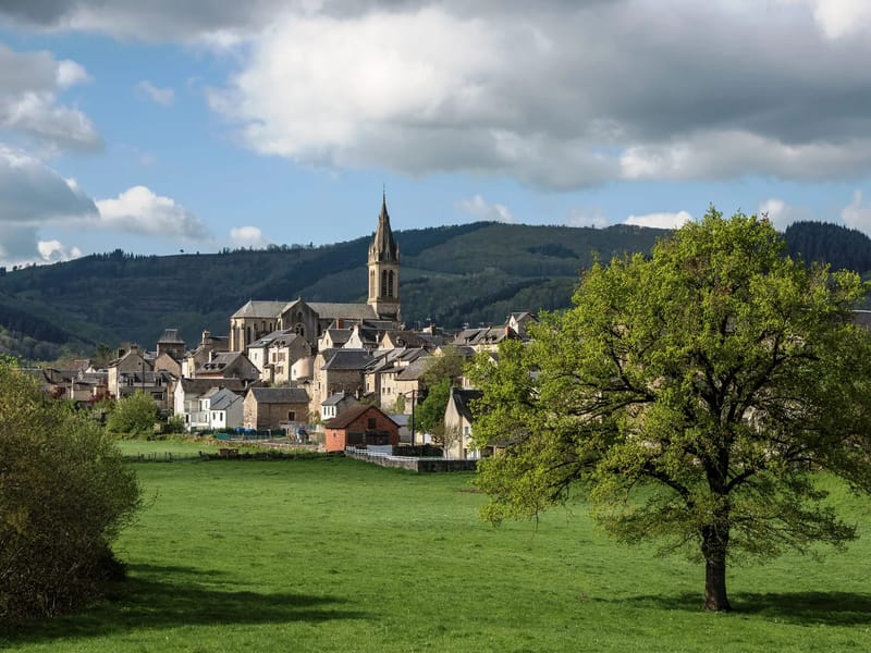 Ssiad Laissac - Soins Infirmiers à Domicile in LAISSAC SEVERAC L EGLISE, Occitanie photo 3