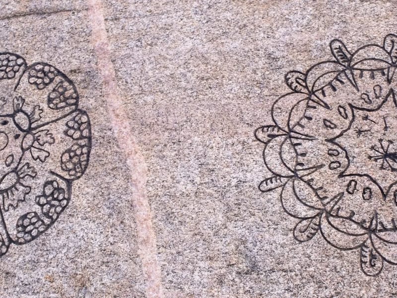 Berguven - Äldreboende in Falkenberg, Hallands län photo 2