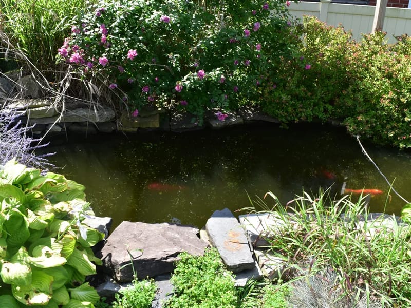 Fishkill Center for Rehabilitation and Nursing - Nursing Home in Beacon, NY photo 2