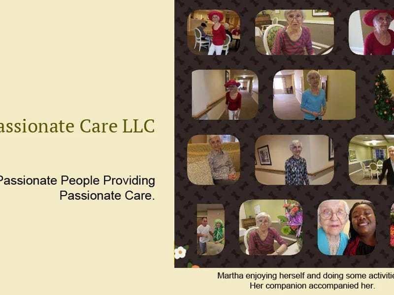 Passionate About Care - In-Home Care in Petersfield, England photo 2