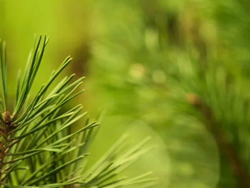 Emerald Crest Of Shakopee - Assisted Living in Shakopee, MN photo 1