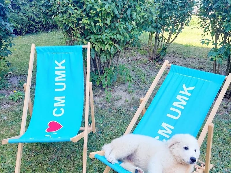 Uniwersytet Mikołaja Kopernika w Toruniu - Dom pomocy społecznej in Bydgoszcz, Bydgoszcz photo 6